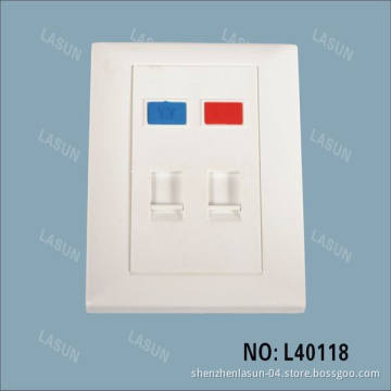 Perfect Type Dual Port Face Plate